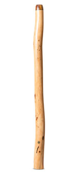 Wix Stix Christmas Beetle Didgeridoo (WS382)